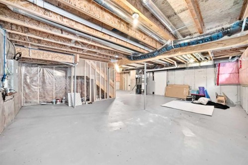 141 Shoreline Vista, Chestermere, AB - Indoor Photo Showing Basement