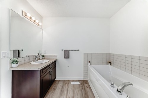 790 River Heights Crescent, Cochrane, AB - Indoor Photo Showing Bathroom