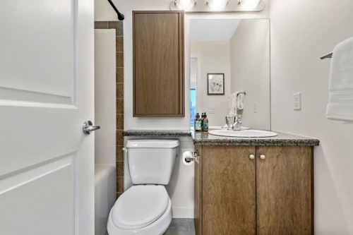 507-328 21 Avenue Sw, Calgary, AB - Indoor Photo Showing Bathroom