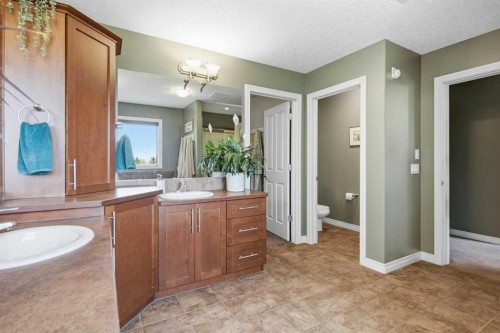 68 Drake Landing Way, Okotoks, AB - Indoor Photo Showing Bathroom