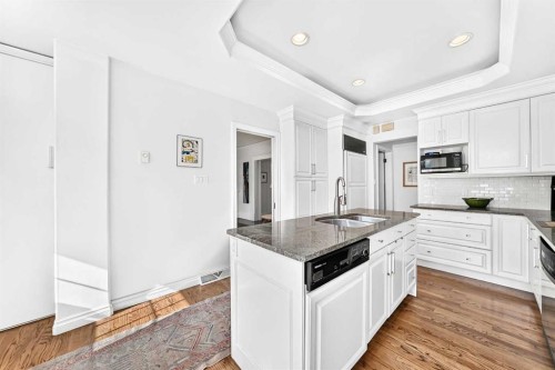 1925 10 Street Sw, Calgary, AB - Indoor Photo Showing Kitchen With Double Sink With Upgraded Kitchen