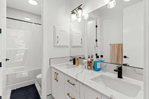 4524 87 Avenue Ne, Calgary, AB - Indoor Photo Showing Bathroom