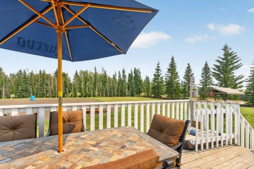 311038 222, Three Hills, AB - Outdoor With Deck Patio Veranda With Exterior