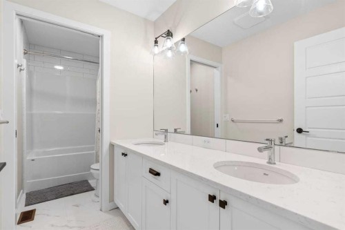 45 Savoy Landing Se, Calgary, AB - Indoor Photo Showing Bathroom