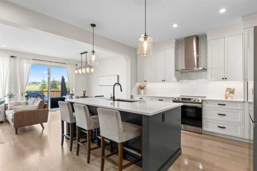 45 Savoy Landing Se, Calgary, AB - Indoor Photo Showing Kitchen With Upgraded Kitchen