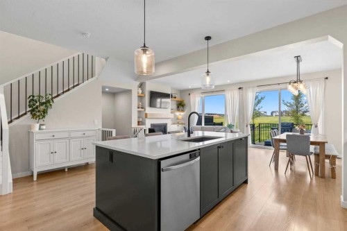 45 Savoy Landing Se, Calgary, AB - Indoor Photo Showing Kitchen With Upgraded Kitchen