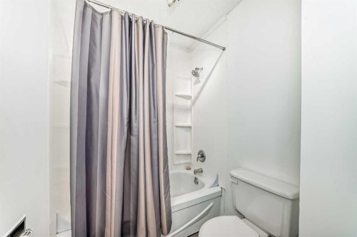 323 Falwood Way Ne, Calgary, AB - Indoor Photo Showing Bathroom