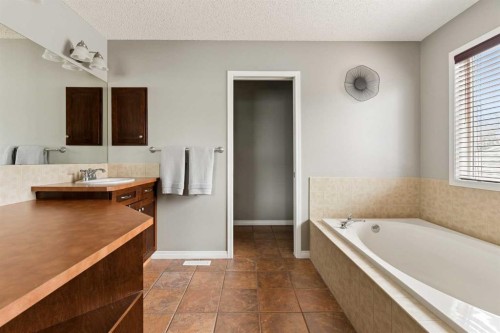 391 Auburn Bay Heights Se, Calgary, AB - Indoor Photo Showing Bathroom