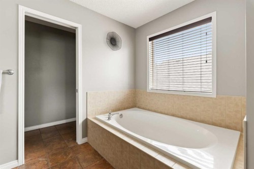 391 Auburn Bay Heights Se, Calgary, AB - Indoor Photo Showing Bathroom