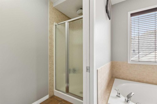 391 Auburn Bay Heights Se, Calgary, AB - Indoor Photo Showing Bathroom