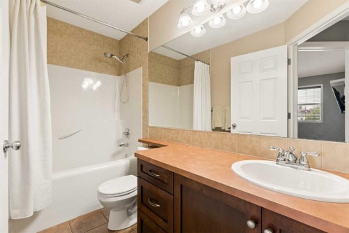 391 Auburn Bay Heights Se, Calgary, AB - Indoor Photo Showing Bathroom