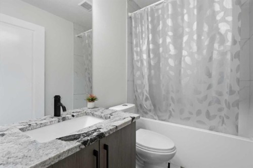 190 Saddlelake Way Ne, Calgary, AB - Indoor Photo Showing Bathroom