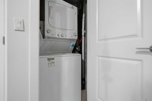 190 Saddlelake Way Ne, Calgary, AB - Indoor Photo Showing Laundry Room