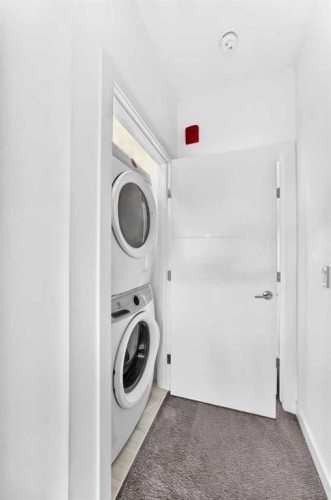 108-1632 20 Avenue Nw, Calgary, AB - Indoor Photo Showing Laundry Room