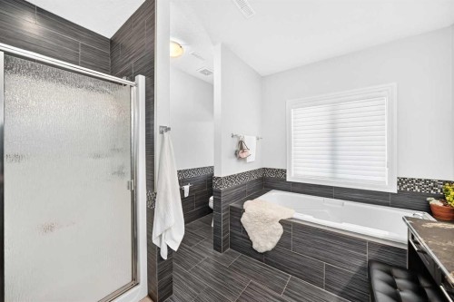 116 Panatella Rise Nw, Calgary, AB - Indoor Photo Showing Bathroom