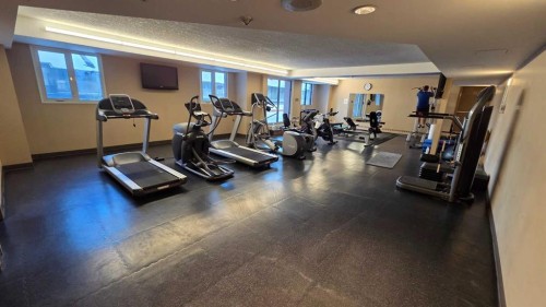 309-738 3 Avenue Sw, Calgary, AB - Indoor Photo Showing Gym Room