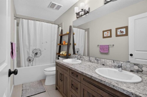 325 Bayside Crescent Sw, Airdrie, AB - Indoor Photo Showing Bathroom