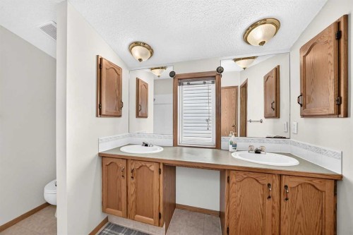 287 Harvest Oak Rise Ne, Calgary, AB - Indoor Photo Showing Bathroom