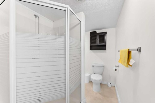 287 Harvest Oak Rise Ne, Calgary, AB - Indoor Photo Showing Bathroom