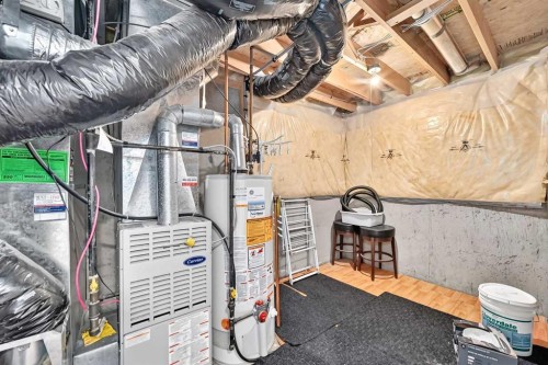 287 Harvest Oak Rise Ne, Calgary, AB - Indoor Photo Showing Basement