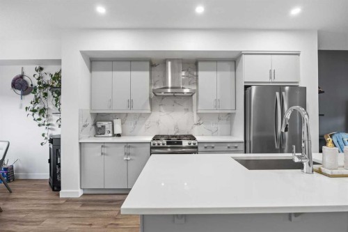 20604 Main Street Se, Calgary, AB - Indoor Photo Showing Kitchen With Stainless Steel Kitchen With Upgraded Kitchen