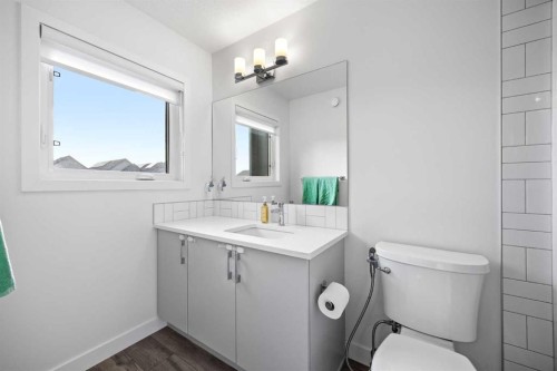 20604 Main Street Se, Calgary, AB - Indoor Photo Showing Bathroom