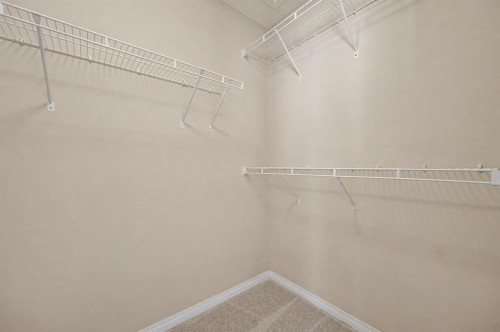 65 Royal Birch Villas Nw, Calgary, AB - Indoor With Storage