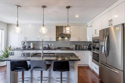 8389 Saddleridge Drive Ne, Calgary, AB - Indoor Photo Showing Kitchen With Upgraded Kitchen