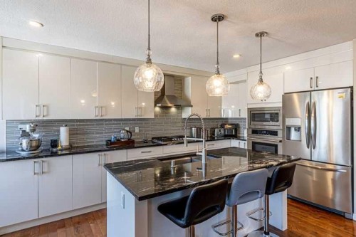 8389 Saddleridge Drive Ne, Calgary, AB - Indoor Photo Showing Kitchen With Upgraded Kitchen