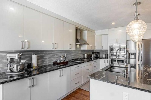 8389 Saddleridge Drive Ne, Calgary, AB - Indoor Photo Showing Kitchen With Upgraded Kitchen