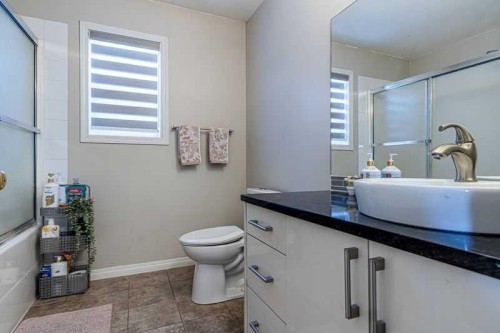8389 Saddleridge Drive Ne, Calgary, AB - Indoor Photo Showing Bathroom