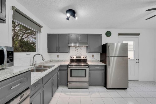 3614 39 Street Ne, Calgary, AB - Indoor Photo Showing Kitchen With Double Sink