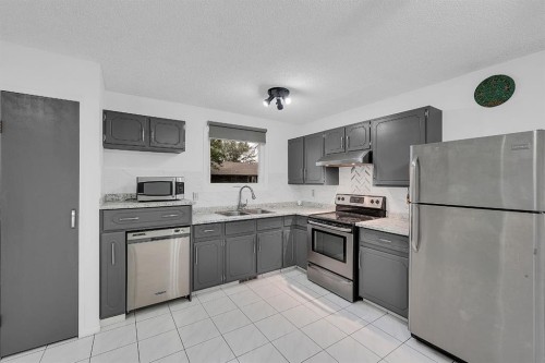 3614 39 Street Ne, Calgary, AB - Indoor Photo Showing Kitchen With Double Sink