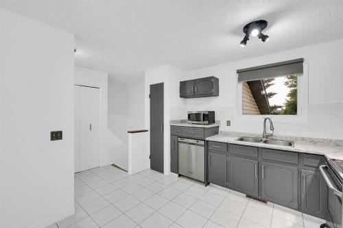 3614 39 Street Ne, Calgary, AB - Indoor Photo Showing Kitchen With Double Sink