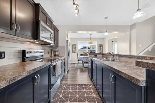 75 Skyview Point Road Ne, Calgary, AB - Indoor Photo Showing Kitchen With Double Sink With Upgraded Kitchen