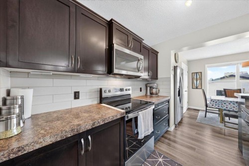 75 Skyview Point Road Ne, Calgary, AB - Indoor Photo Showing Kitchen With Stainless Steel Kitchen With Upgraded Kitchen