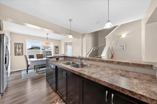 75 Skyview Point Road Ne, Calgary, AB - Indoor Photo Showing Kitchen With Double Sink