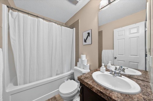 75 Skyview Point Road Ne, Calgary, AB - Indoor Photo Showing Bathroom