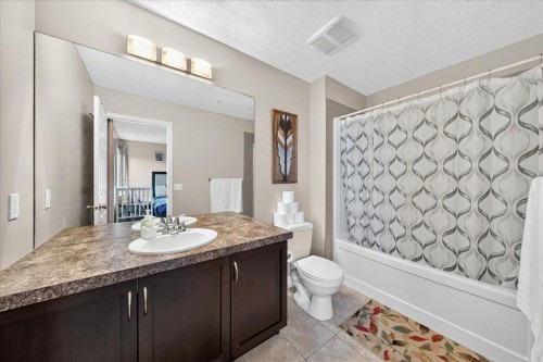 75 Skyview Point Road Ne, Calgary, AB - Indoor Photo Showing Bathroom