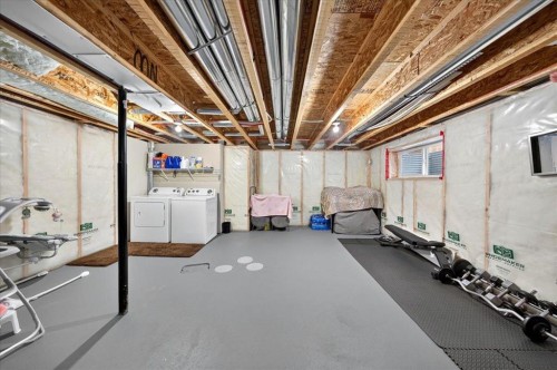75 Skyview Point Road Ne, Calgary, AB - Indoor Photo Showing Basement