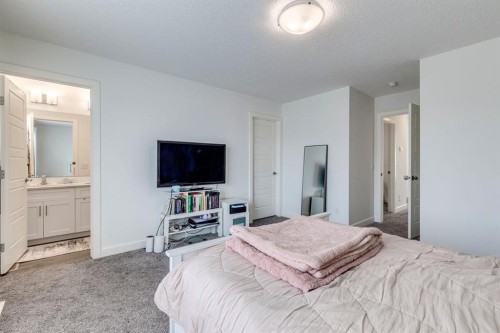 24 Corner Meadows Park Ne, Calgary, AB 