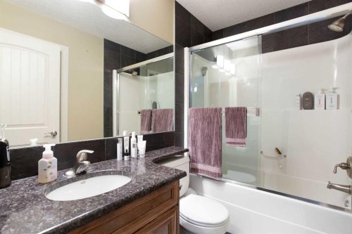 1149 Channelside Drive Sw, Airdrie, AB - Indoor Photo Showing Bathroom