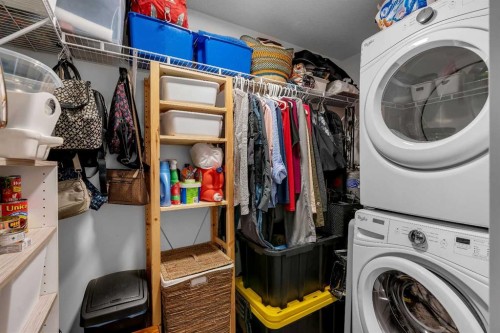 236-300 Marina Drive, Chestermere, AB - Indoor Photo Showing Laundry Room