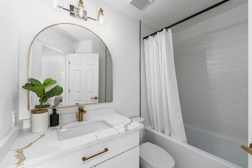 28 Sunlake Circle Se, Calgary, AB - Indoor Photo Showing Bathroom