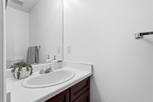 149 Riverglen Close Se, Calgary, AB - Indoor Photo Showing Bathroom