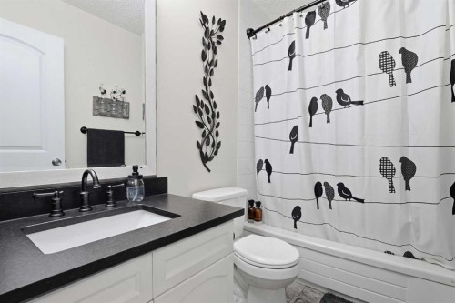 149 Riverglen Close Se, Calgary, AB - Indoor Photo Showing Bathroom