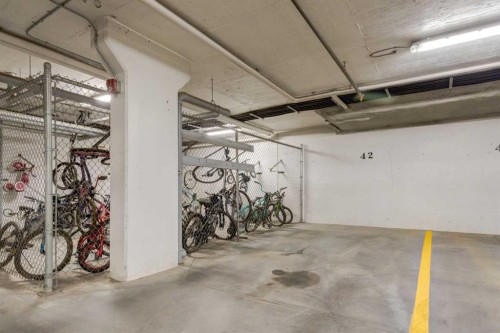 2109-181 Skyview Ranch Manor Ne, Calgary, AB - Indoor Photo Showing Garage