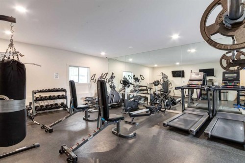 2109-181 Skyview Ranch Manor Ne, Calgary, AB - Indoor Photo Showing Gym Room