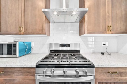 176 Savanna Lane Ne, Calgary, AB - Indoor Photo Showing Kitchen With Upgraded Kitchen