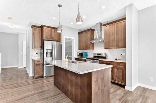 176 Savanna Lane Ne, Calgary, AB - Indoor Photo Showing Kitchen With Double Sink With Upgraded Kitchen